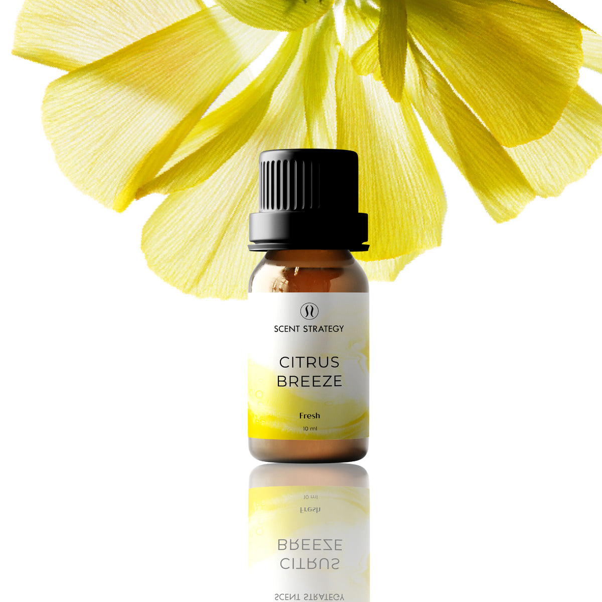 Citrus Breeze