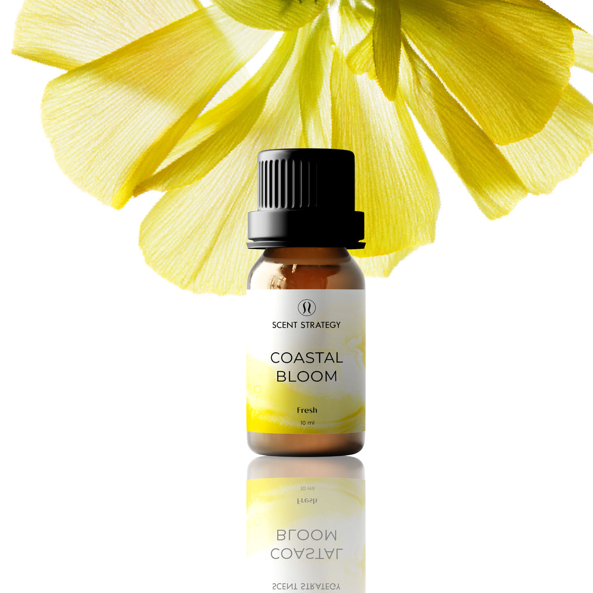 Coastal Bloom