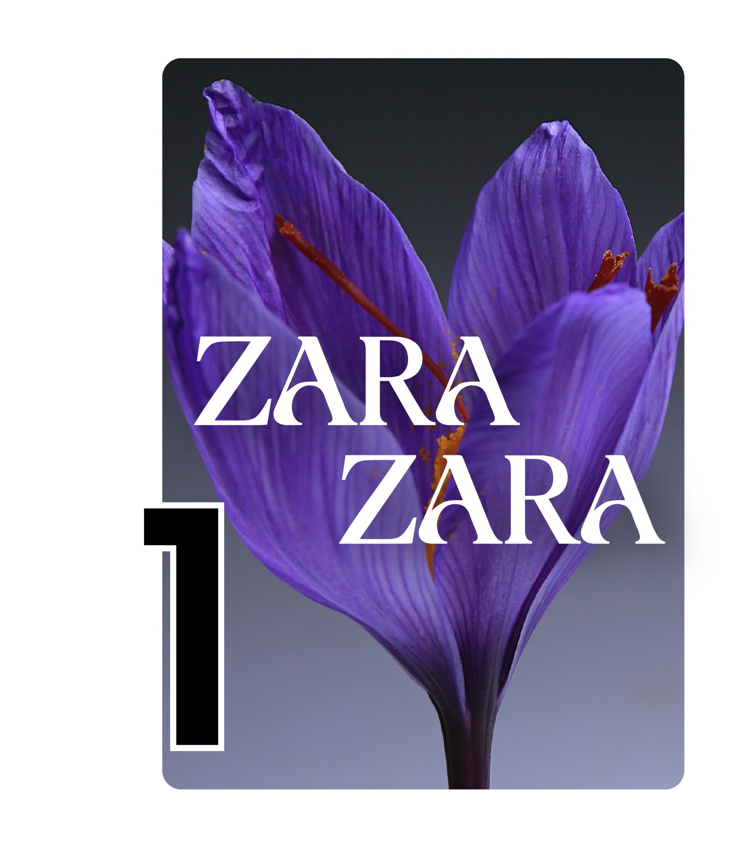 Image for 