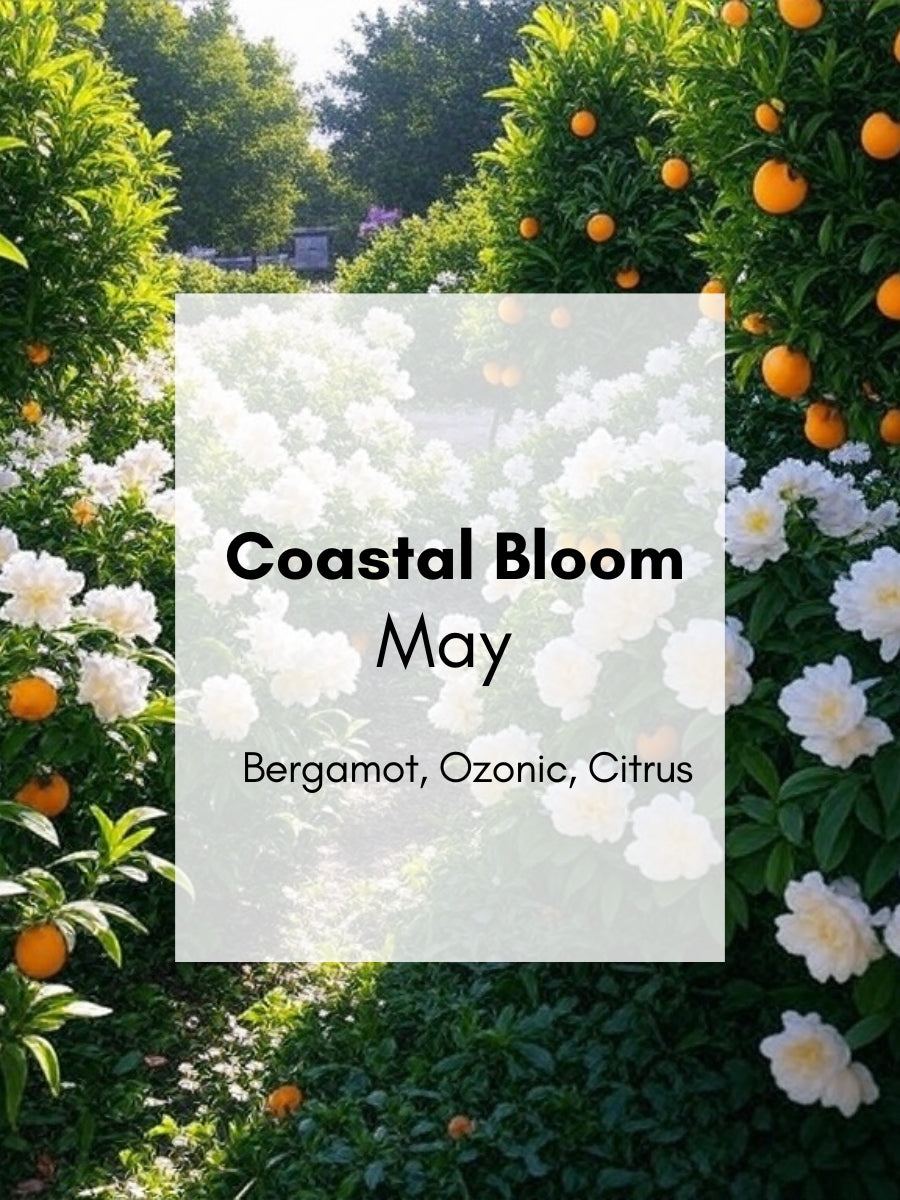 Coastal Bloom
