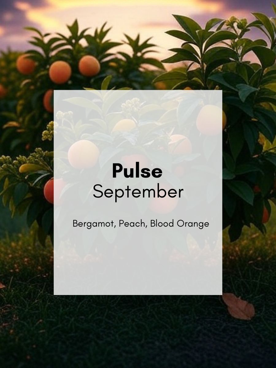 PULSE