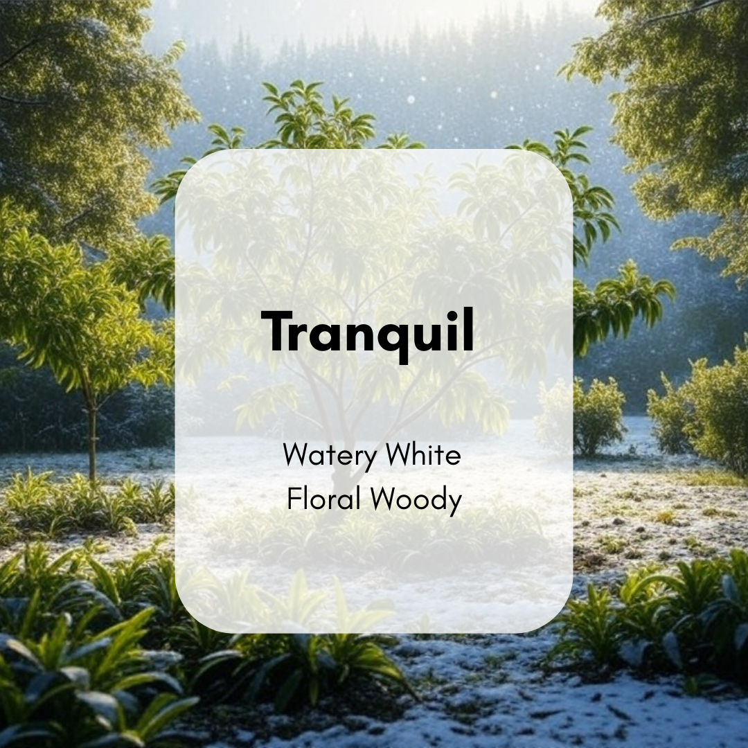 Tranquil