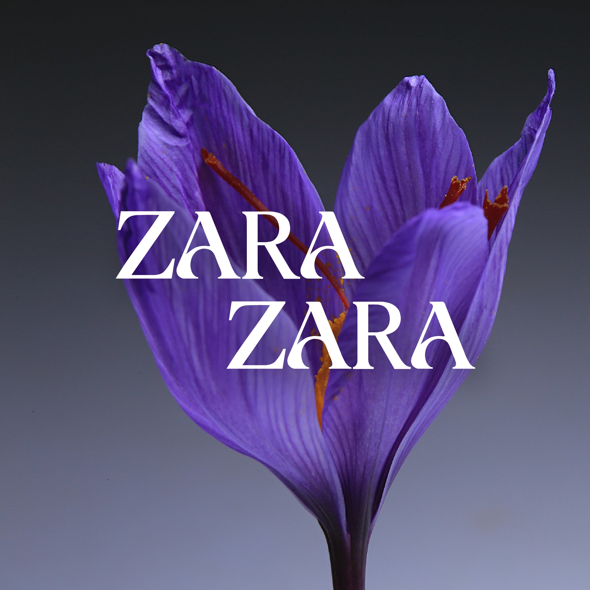 Zara Zara
